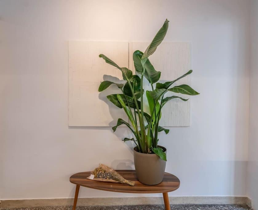 Apartmán Botanical Atény Exteriér fotografie