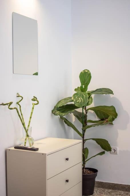 Apartmán Botanical Atény Exteriér fotografie